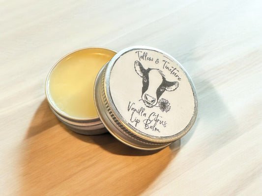 Tallow Lip Balm - Vanilla Citrus